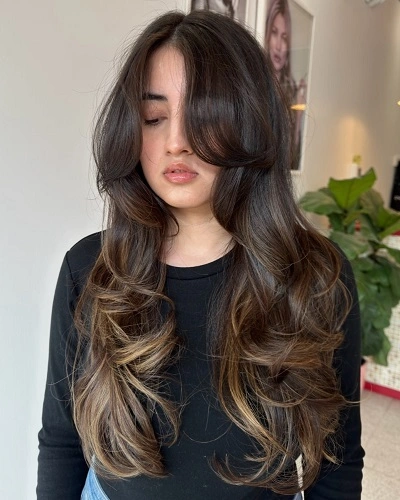 Butterfly Haircut Blowouts for Women