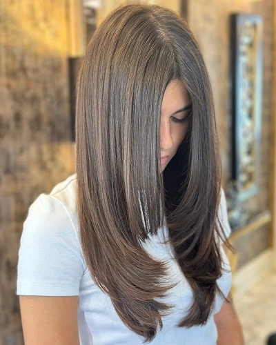 Butterfly Haircut Straight Hair