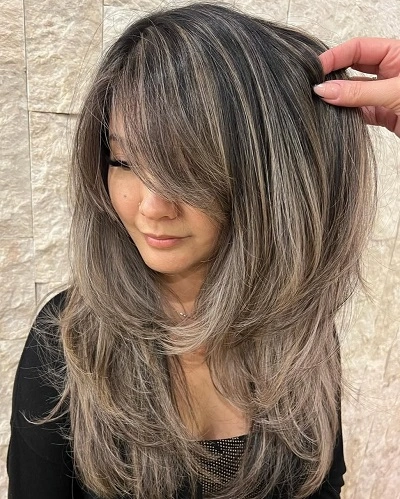 Butterfly Haircut with Highlights