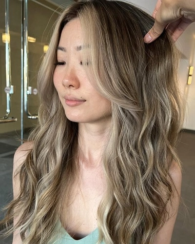 Butterfly Haircut with Highlights