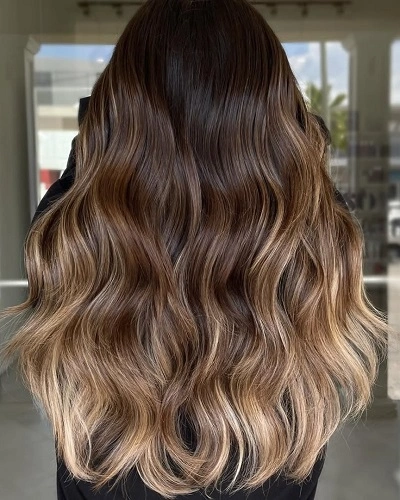 Butterfly Haircut with Highlights