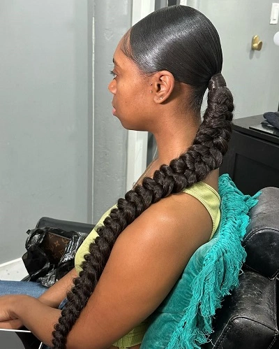 Sleek Braided Ponytail