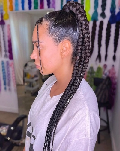 Sleek Braided Ponytail