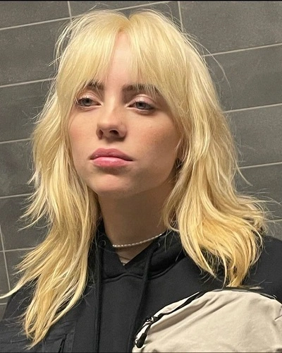 Billie Eilish Wolf Cut