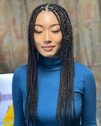 African Plait Hairstyle