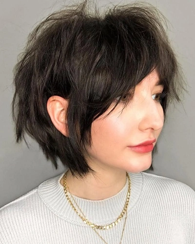 Shaggy Bob Cut 