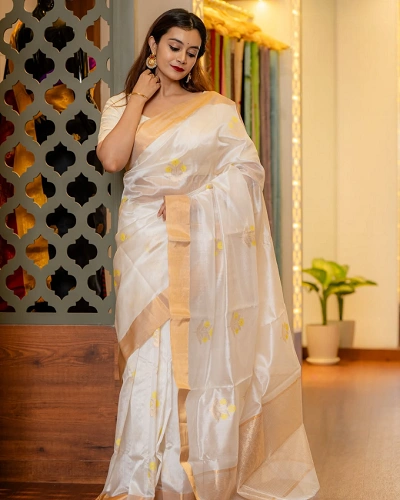 Chanderi Saree for Women